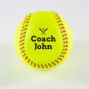 Printed Softball with Coach Baseball Bats Design