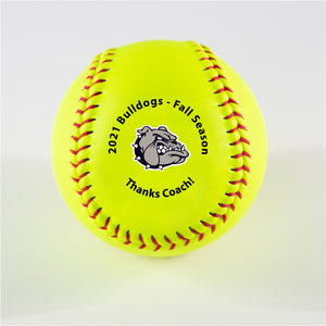 Printed Softball with Text Circle Logo Design