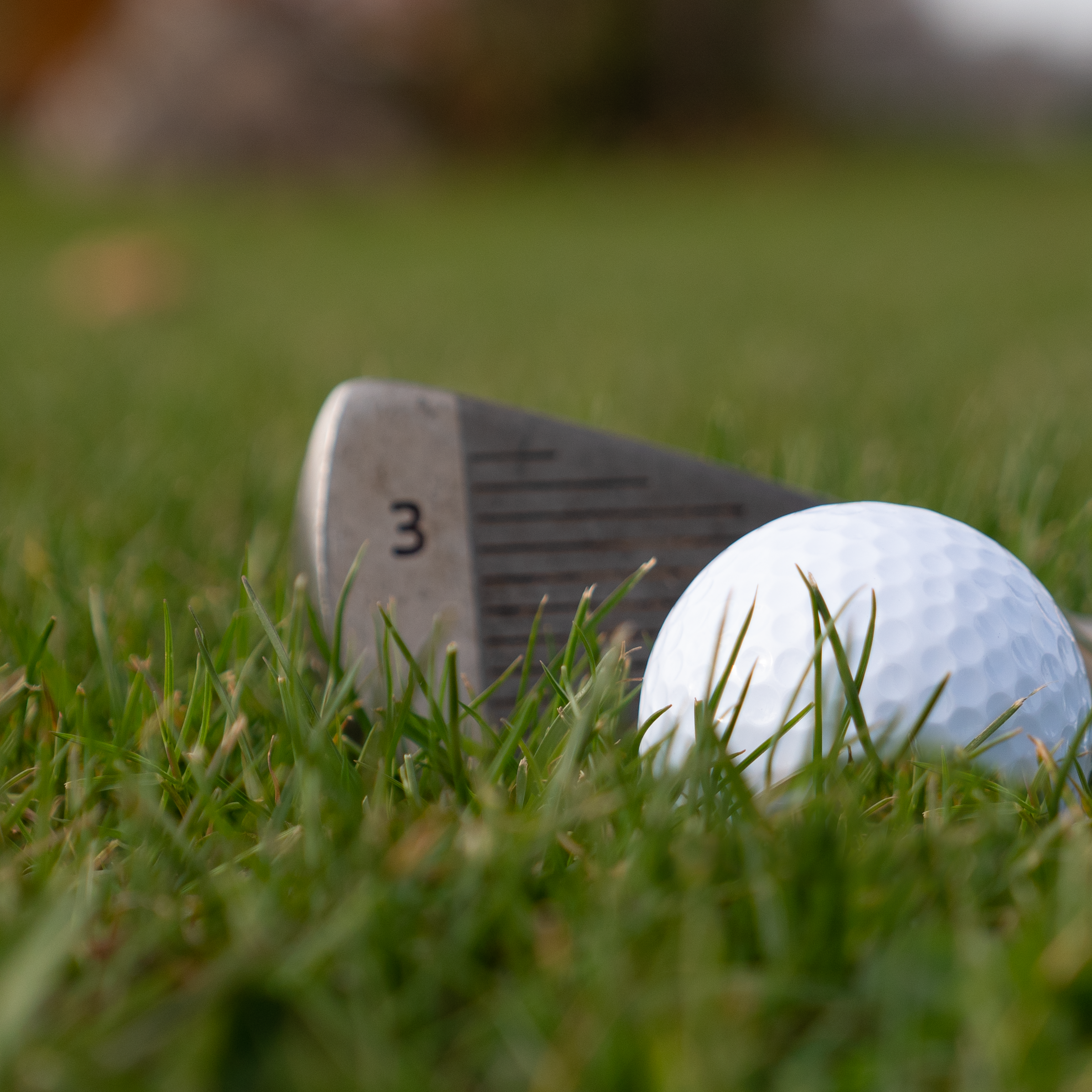 Golf Ball in Grass